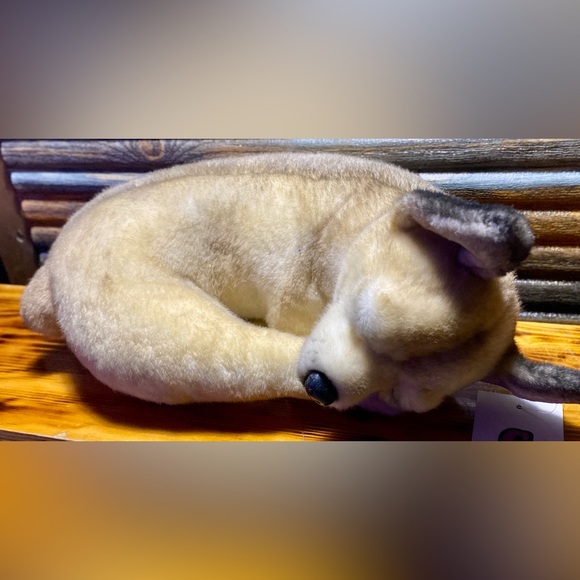 CUDDLE CLONES CHIHUAHUA - Picture 2 of 9